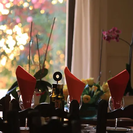 阳光酒店 阿尔布费拉