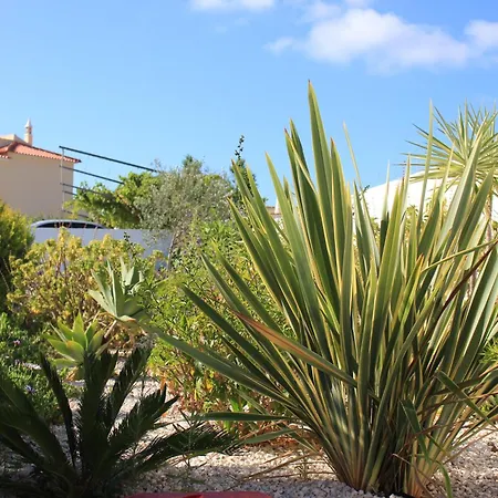 阳光酒店 3* 阿尔布费拉