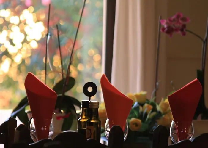 Sunshine אלבופיירה