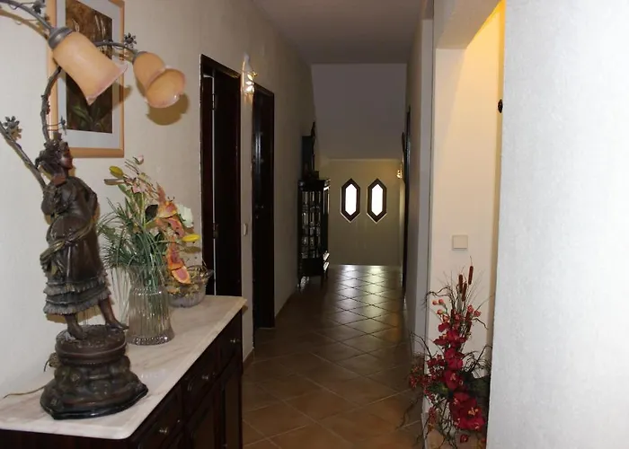 Sunshine אלבופיירה