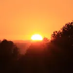 Sunshine بيت ضيافة 3*