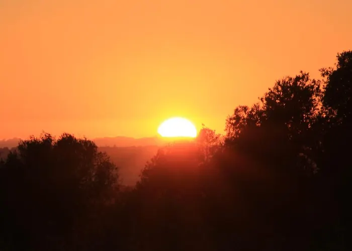 Sunshine Pensionat 3*